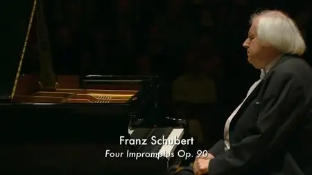 Grigory Sokolov plays Schubert, Beethoven, Rameau and Brahms (2014) [HDTVRip, 720p]