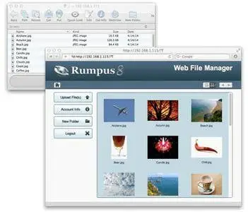 Rumpus Pro 8.1.8.2