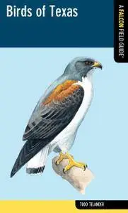 Birds of Texas: A Falcon Field Guide
