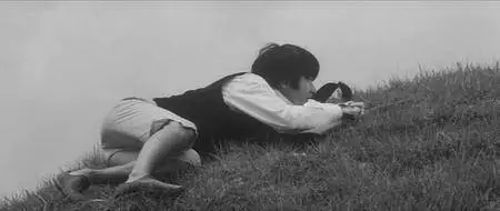 Muri shinjû: Nihon no natsu / Japanese Summer: Double Suicide (1967) [Repost]