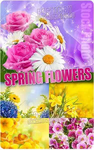 Spring flowers 3 - UHQ Stock Photo