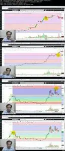 Certification in Trend Based Fibonacci Trading Extension