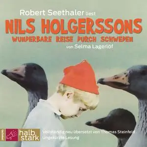 «Nils Holgerssons wunderbare Reise durch Schweden» by Selma Lagerlöf