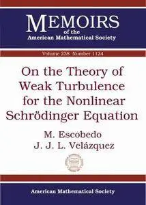 On the Theory of Weak Turbulence for the Nonlinear Schrodinger Equation