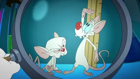 Animaniacs S03E07