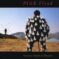 Pink Floyd - Delicate Sound Of Thunder (1988) [COL C2K 44484  CK 44485]
