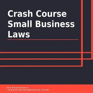 «Crash Course Small Business Laws» by Introbooks Team