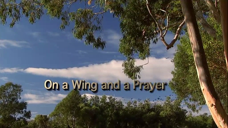 ABC - On a Wing and a Prayer (2011)