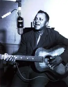 Big Joe Williams - Walking Blues - 1961 (1992)