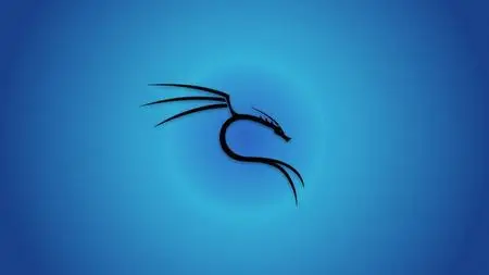 Learn Ethical Hacking Process with Kali Linux