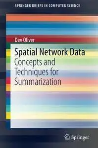 Spatial Network Data: Concepts and Techniques for Summarization