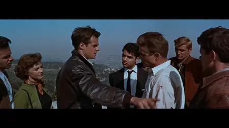 Rebel Without a Cause (1955)
