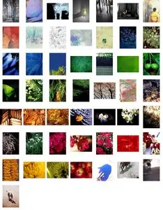 YAN textures