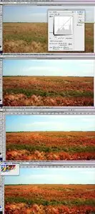 SkillFeed - Photoshop and Illustrator Real World Graphic Design