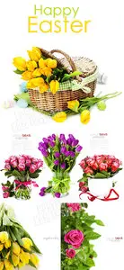 Spring flowers 18