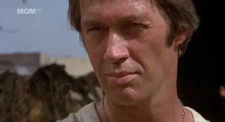 Lone Wolf McQuade (1983)