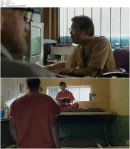 Wilson (2017)