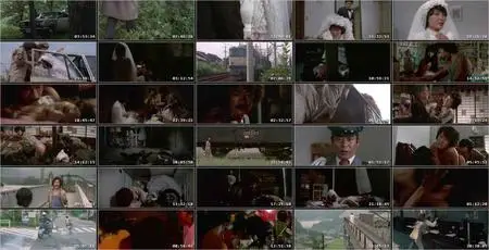 Secret Honeymoon: Rape Train (1977)