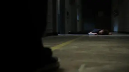 Star S03E13