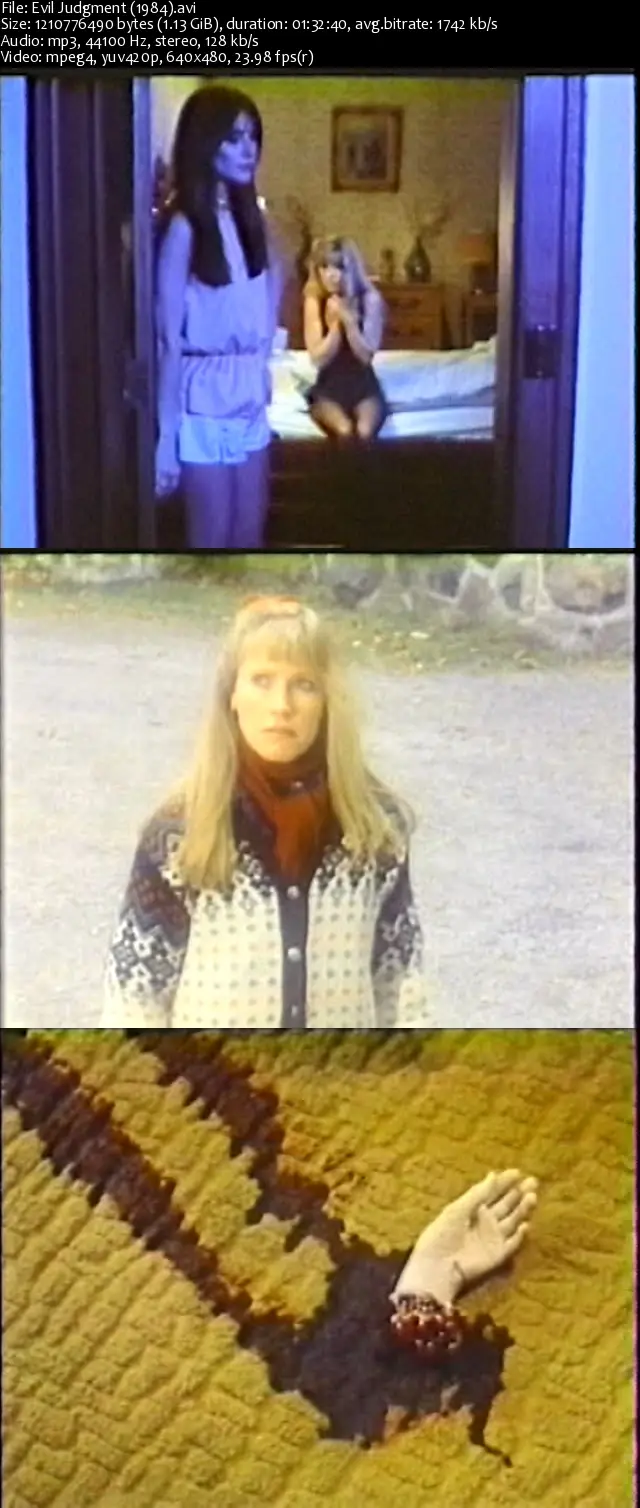 Evil Judgment (1984) 