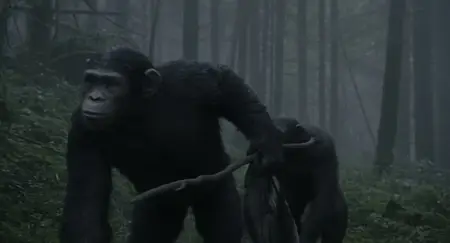 Dawn of the Planet of the Apes (2014)