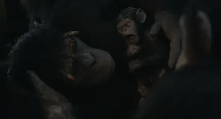 Dawn of the Planet of the Apes (2014)