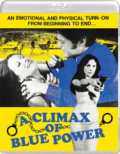 A Climax of Blue Power (1974)