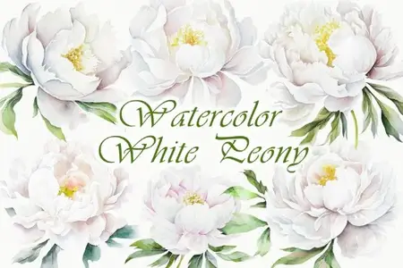 Design Bundles - White Peony Watercolor Clipart - 2487884