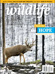 Canadian Wildlife - March/April 2025