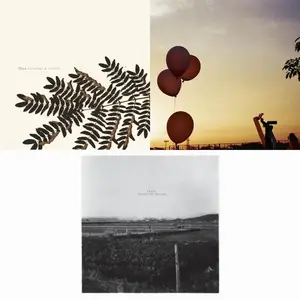 Flica - 3 Albums (2008-2009)