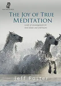 The Joy of True Meditation: Words of Encouragement for Tired Minds and Wild Hearts