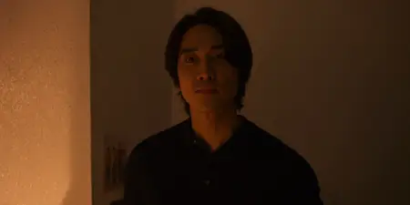 Hidden Face (2024)
