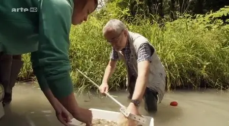 (Arte) Le Rhône, la renaissance d'un fleuve (2015)