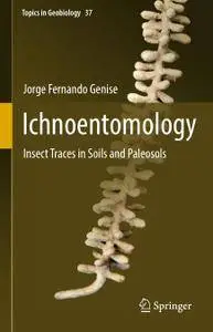 Ichnoentomology: Insect Traces in Soils and Paleosols