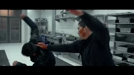 The Raid 2 (2014)