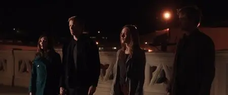 The Host (2013)