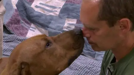 One Nation Under Dog (2012)