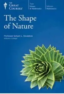 Shape of Nature [repost]