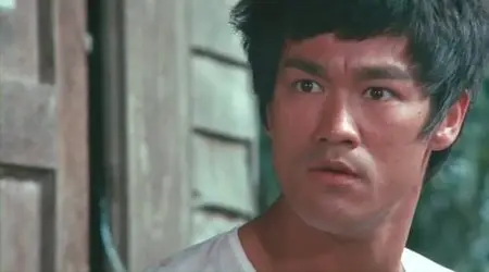 Bruce Lee: In Pursuit Of The Dragon (2011)