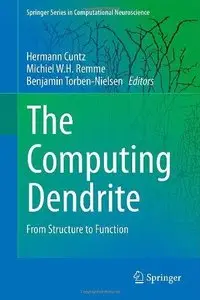 The Computing Dendrite: From Structure to Function (Repost)
