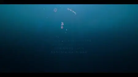 Dive Club S01E02