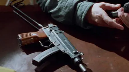 1994 – Willkommen in der Zweiten Republik S01E07