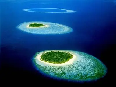 Tiny Island - Tiny Island (2001)