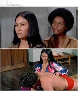 Savage Sisters (1974)