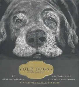 Old Dogs: Are the Best Dogs (Repost)