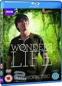Wonders of Life (2013)
