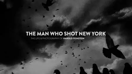 The Man Who Shot New York (2019)