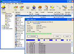 Internet Download Manager 5.02 Build 8