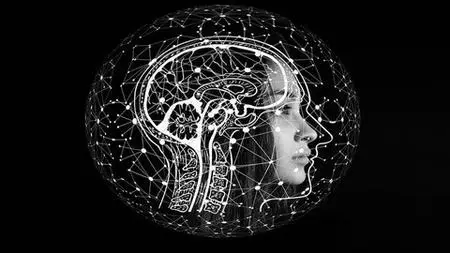Artificial Intelligence: How To Create An Ai Project.