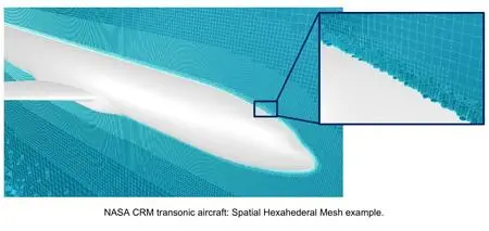 Cradle CFD 2021